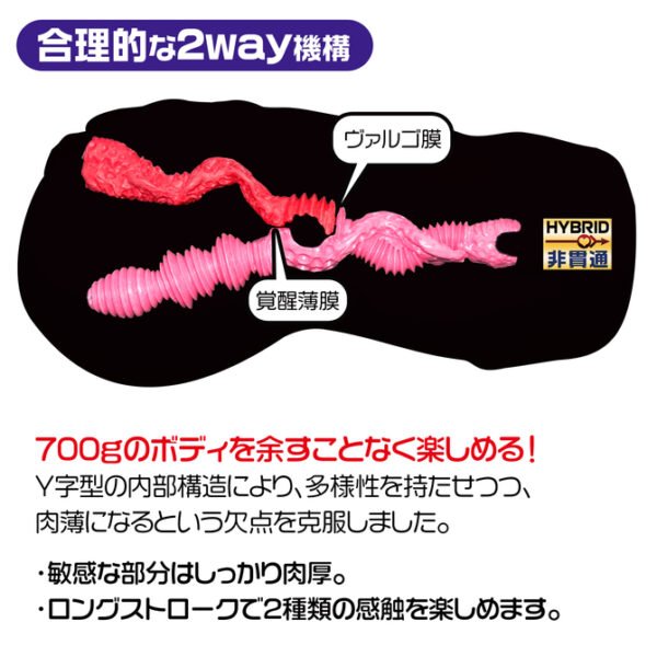 Magic Eyes La Vie En Roses Mild Soft Edition Artificial Vagina Double Hole Pocket Pussy Male Masturbator Male Sex Toys for Men