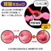 Magic Eyes La Vie En Roses Mild Soft Edition Artificial Vagina Double Hole Pocket Pussy Male Masturbator Male Sex Toys for Men