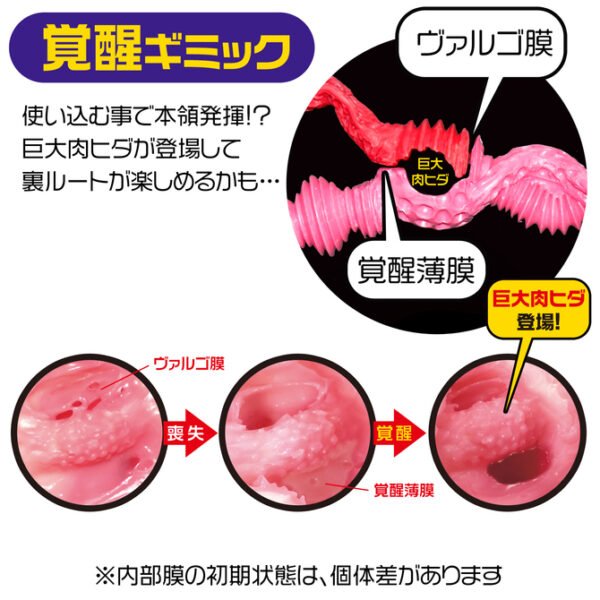 Magic Eyes La Vie En Roses Mild Soft Edition Artificial Vagina Double Hole Pocket Pussy Male Masturbator Male Sex Toys for Men