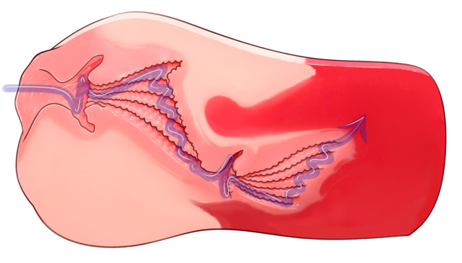 Magic Eyes Japan Sex Toys for Man Artificial Vagina Original Brand Gokusai Uterus MoonShot Pocket Pussy Realistic Toys for Adult M9247 18 670x