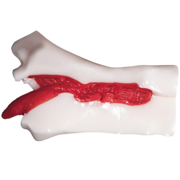 Male Realistic Sex Cup Mouth Masturbator for Man Japan NPG Mao Hamasaki Oral Sex Toys
