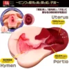 Magic Eyes Gokusai Uterus Onahole Masturbator Dual Layer Design Vagina Real Pussy Fake Pussy Male Masturbator Men Sex Toy