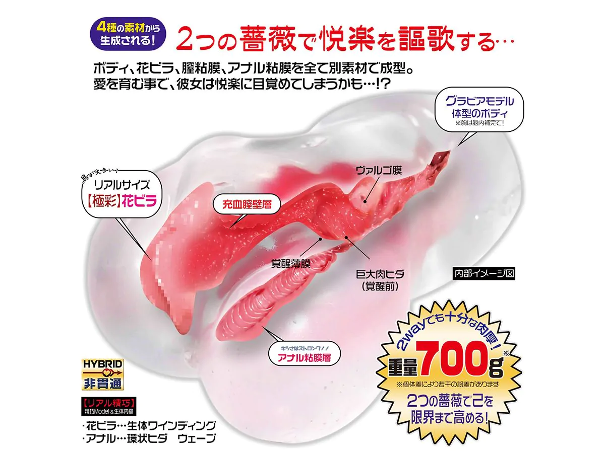 Japan Magic Eyes Artificial Vagina for Men Onaholes Male Masturbator La Vie En Roses Crystal Hard Adult Sex Toys for Men La Vie En Roses Crystal Hard 8