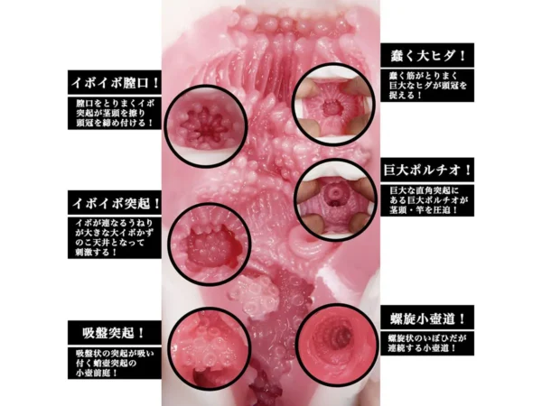 Japan Original Artificial Vagina for Men Onahole Male Masturbator Cup Meiki No Syoumei 11 Pocket Pussy Sex Toys for Adults 18