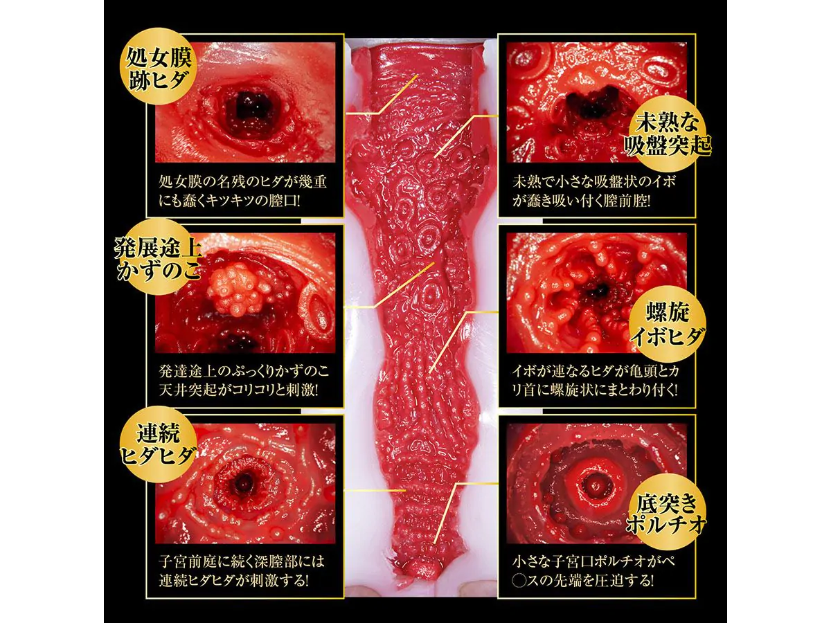Japan Original NPG Realistic Vagina Sex Toys for Men Male Onahole Masterbuator Meiki Jyunjyou Ichika Matsumoto Men's Masturbator Meikiichika4