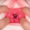 NPG New Realistic Pocket Pussy Masturbators for Men Meiki No Syoumei 003 Tsukasa Aoi Ona Onahole Vaginas Masturbadores Hombre