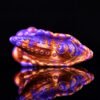 Wireless Control Silicone Tongue Licking Vibrator Clitoris Stimulator G Spot Fantasy Grinders Sex Toys For Men Women Male Masturbate Massage Foreplay sex Products