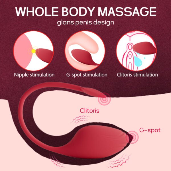 Sex Toys APP Remote Control 9 Speed Egg Vibrators for Women Rechargeable G Spot Vibrating Jump Eggs Clitoris Stimulator Vibrator