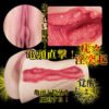 Japan NPG Brand Male Sex Toys Meiki Kakusei Mina Kitano Dual Layer Onahole Realistic Vagina Men Masturbator Cup