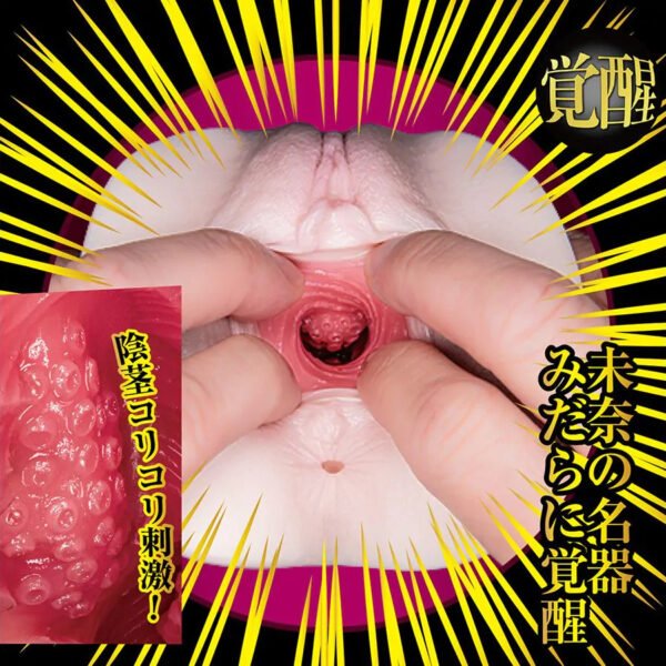 Japan NPG Brand Male Sex Toys Meiki Kakusei Mina Kitano Dual Layer Onahole Realistic Vagina Men Masturbator Cup