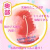 Japan Rakukoto Anime Onahole Artfificial Vagina Male Masturbator Blink Fairy Pocket Pussy Sex Toys for Men