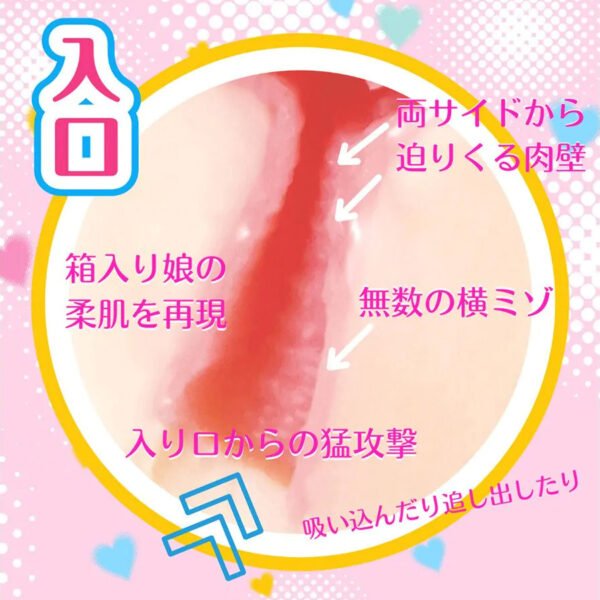 Blink Fairy (5) Japan Rakukoto Anime Onahole Artfificial Vagina Male Masturbator Blink Fairy Pocket Pussy Sex Toys for Men