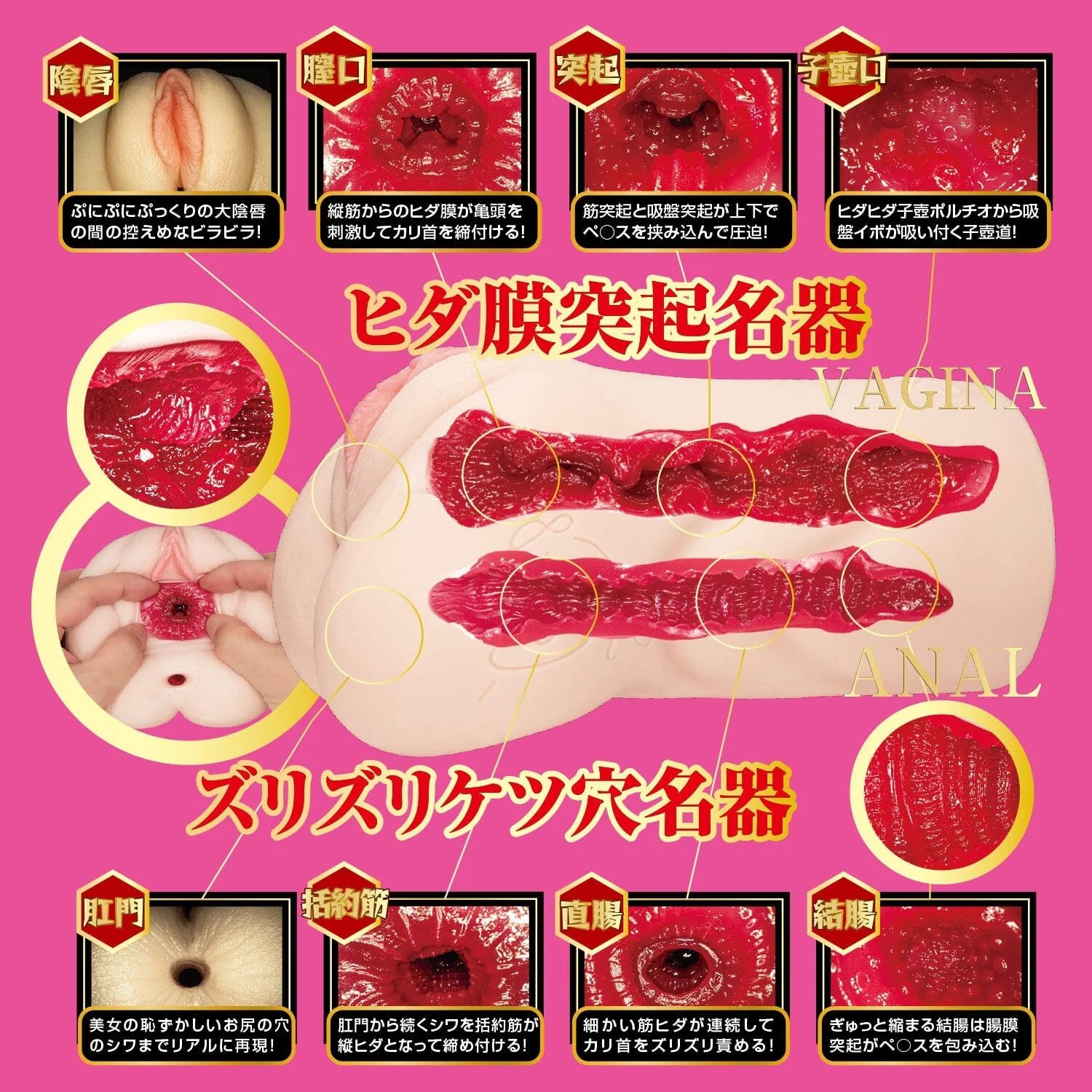 Japan JNPG Realistic Vagina Pocket Pussy Meiki 015 Ishikawa Mio Onahole Pornstar Anal Vaginal Male Masturbation Cup JNPG 名器の証明 No.15 石川澪 雙穴名器 購買 5 1