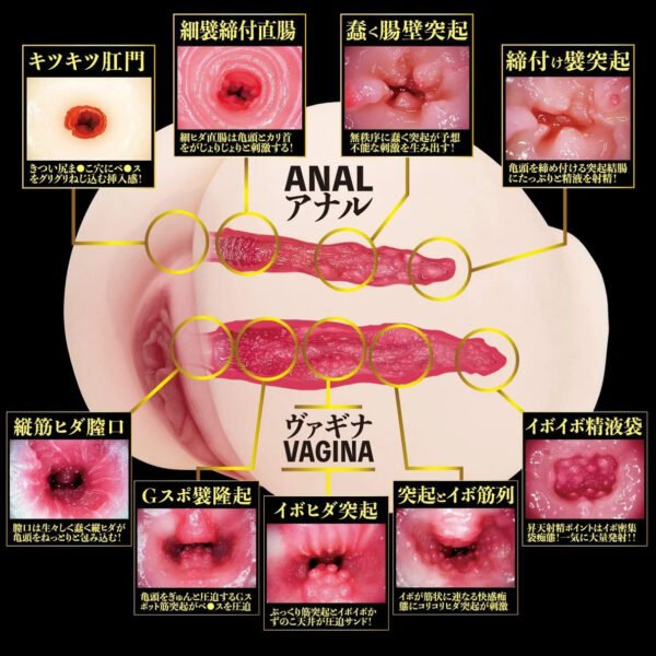 NPG Lifelike Male Masturbator Vaginal and Anal Peach Butt Pussy 2 Holes Raw Momojiri Eimi Fukada Onahole Sex Toys for Men