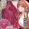 Ride Japan Realistic Pocket Pussy Stroker Tenka Ikketsu Tenjyu Tamayura Onahole Sex Toy for Male Masturbation Lifelike Vagina