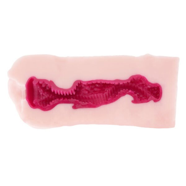 Ride Japan Realistic Pocket Pussy Stroker Tenka Ikketsu Tenjyu Tamayura Onahole Sex Toy for Male Masturbation Lifelike Vagina