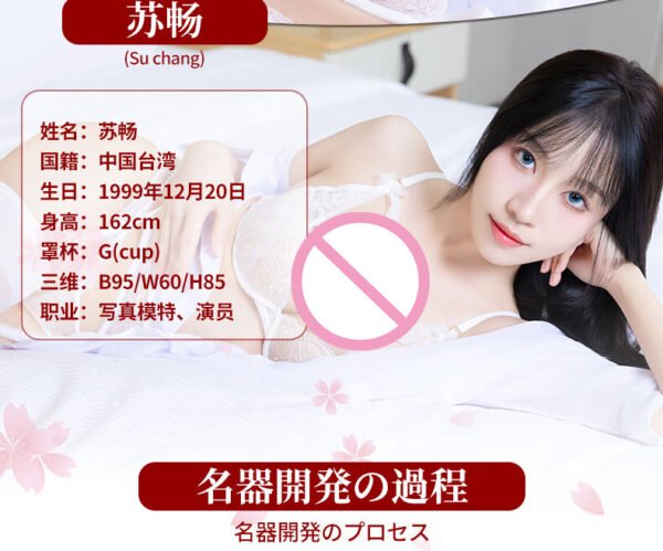 NPG 006 Su Chang Realistic Vagina Onahole Japanese Male Masturbator MEIKI NO SYOUMEI Sex Toys for Man