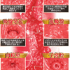 NPG 006 Su Chang Realistic Vagina Onahole Japanese Male Masturbator MEIKI NO SYOUMEI Sex Toys for Man