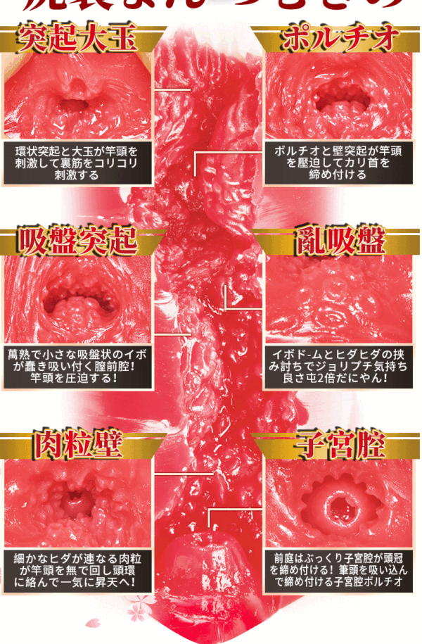 NPG 006 Su Chang Realistic Vagina Onahole Japanese Male Masturbator MEIKI NO SYOUMEI Sex Toys for Man