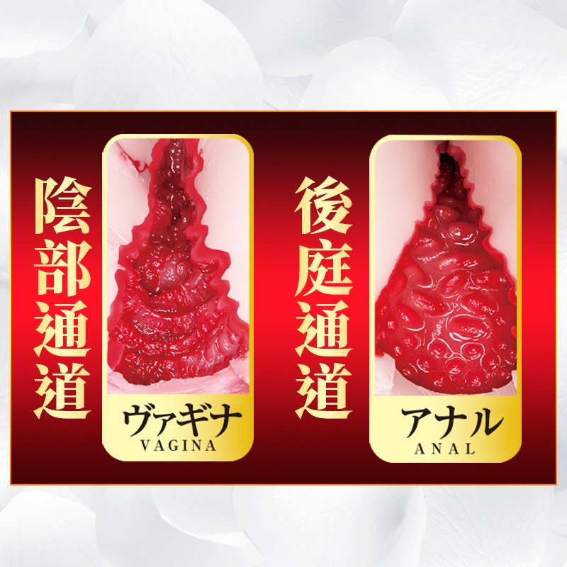 JNPG Ultimate Realistic Hips Onahole Masturbator 3rd Generation Mitani Akari Mini Ass Doll Double Hole Actress Vagina Pussy 3kg 主图 05 JNPG日本进口 日暮里极上生腰mini三代飞机杯男用真人倒模名器证明