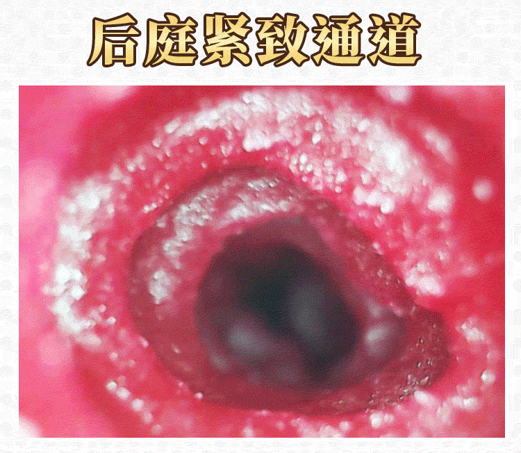 详情 11 森日向子极上生腰超柔 11.gif