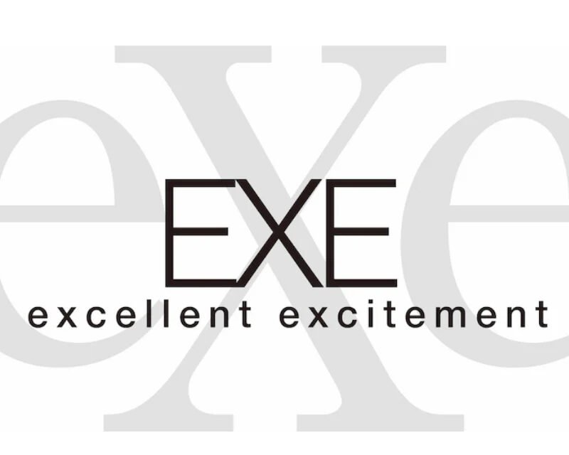 EXE