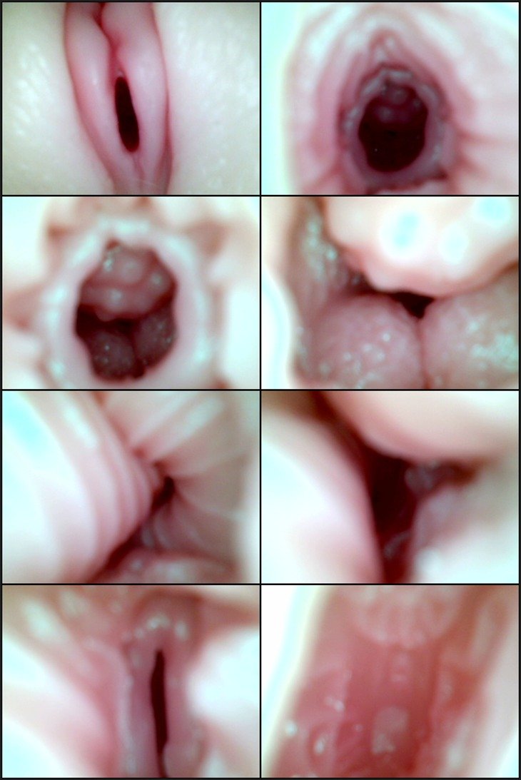 shot6 1